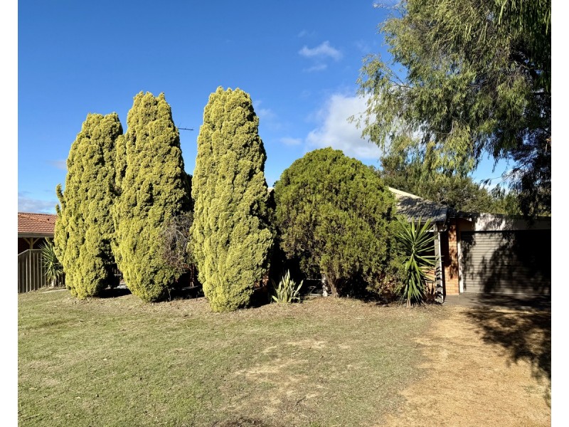 6 Macbeth Way, Geographe WA 6280