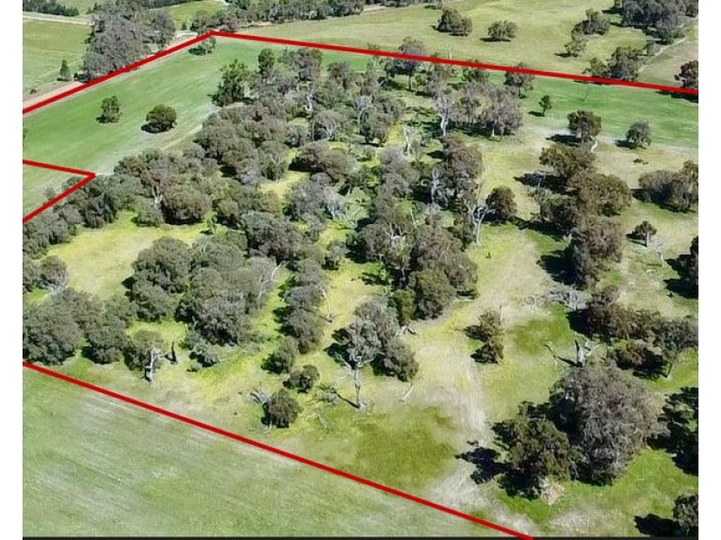Proposed Lot/101 Glendon Road, Ludlow WA 6280