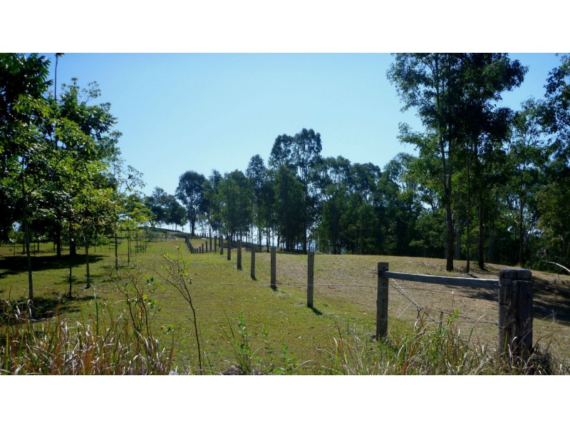 800 Ellangowan Road, Yorklea NSW 2470