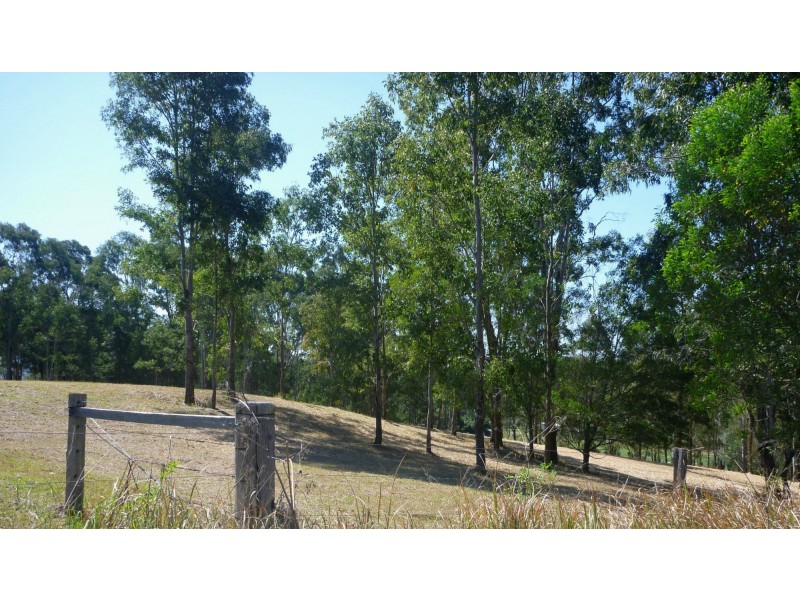 800 Ellangowan Road, Yorklea NSW 2470