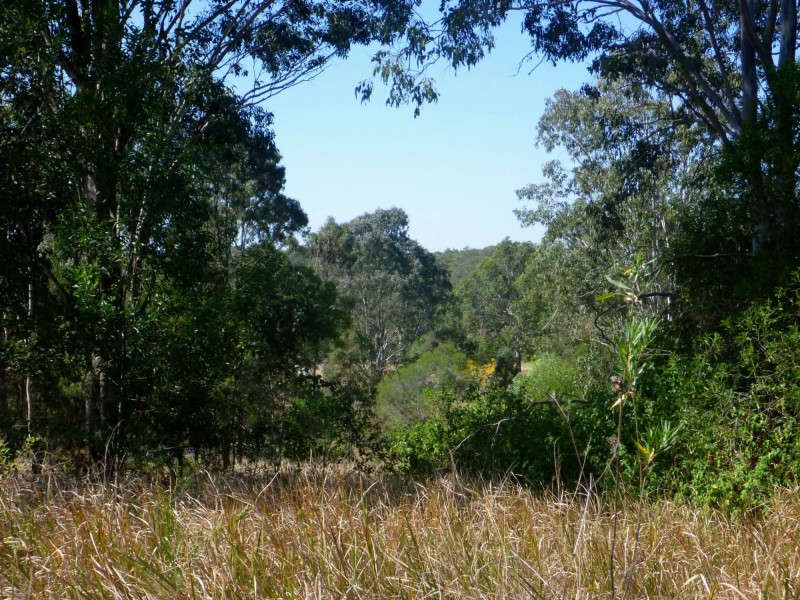 800 Ellangowan Road, Yorklea NSW 2470