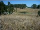 800 Ellangowan Road, Yorklea NSW 2470