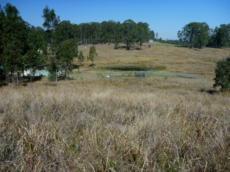800 Ellangowan Road, Yorklea NSW 2470