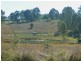 800 Ellangowan Road, Yorklea NSW 2470