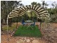 Lot 156 Pony Fence, Lightning Ridge NSW 2834