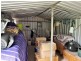 Lot 156 Pony Fence, Lightning Ridge NSW 2834