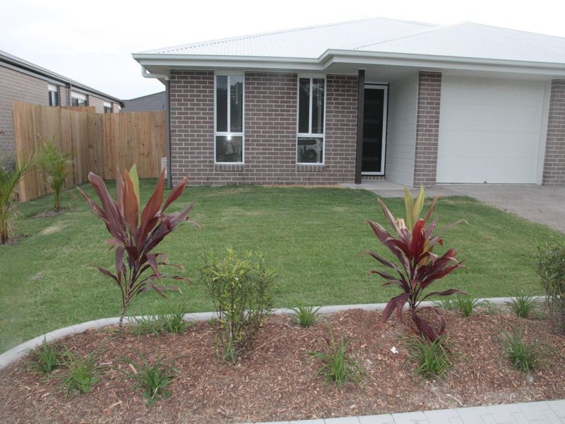 1/127 Exeter Street, Torquay QLD 4655