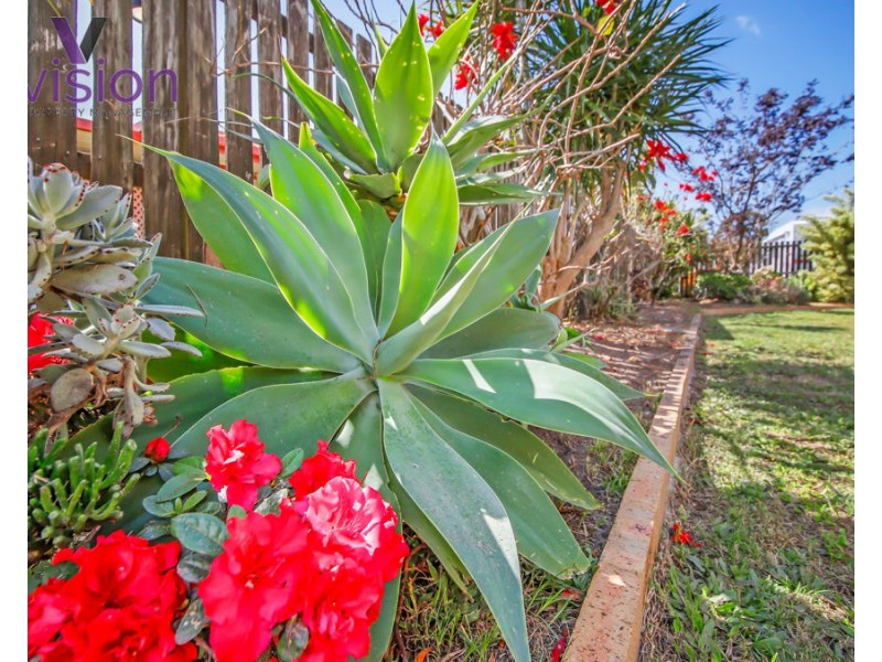 19 Caswell Court, Torquay QLD 4655