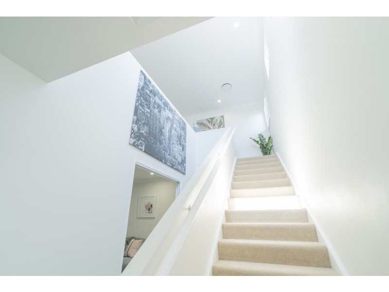 84 Reuben Street, Stafford QLD 4053