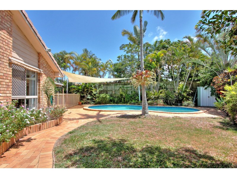 5 Edera Court, Daisy Hill QLD 4127