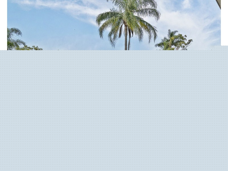 10 Esperance Street, Runcorn QLD 4113