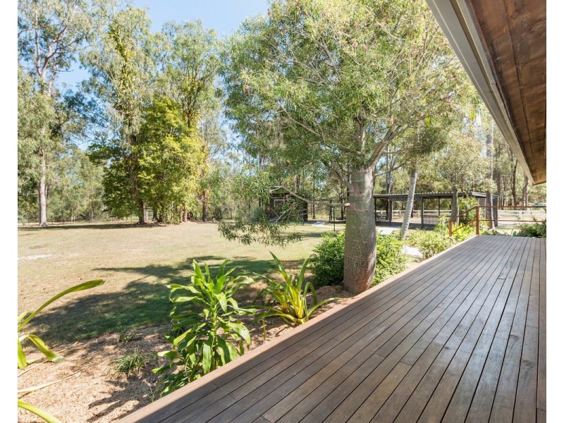 273 Kurrajong Road, Jimboomba QLD 4280