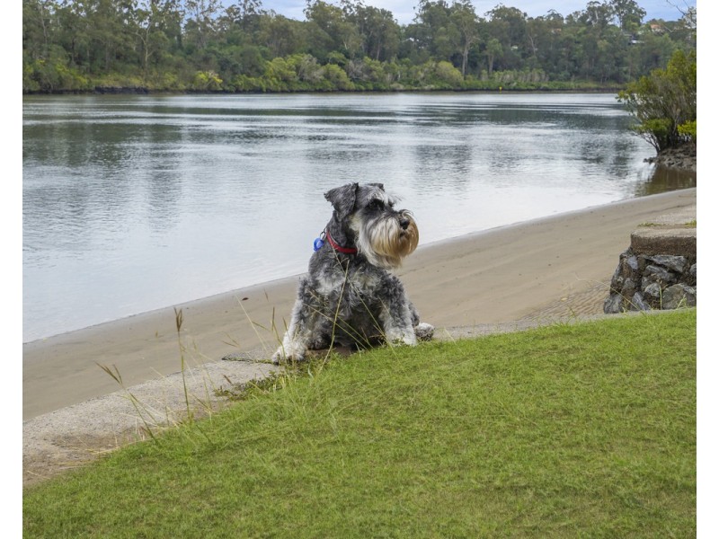 44 Ormadale Road, Yeronga QLD 4104