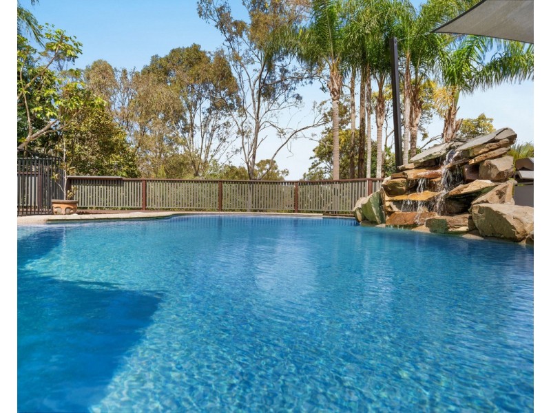 43 Celandine Street, Shailer Park QLD 4128