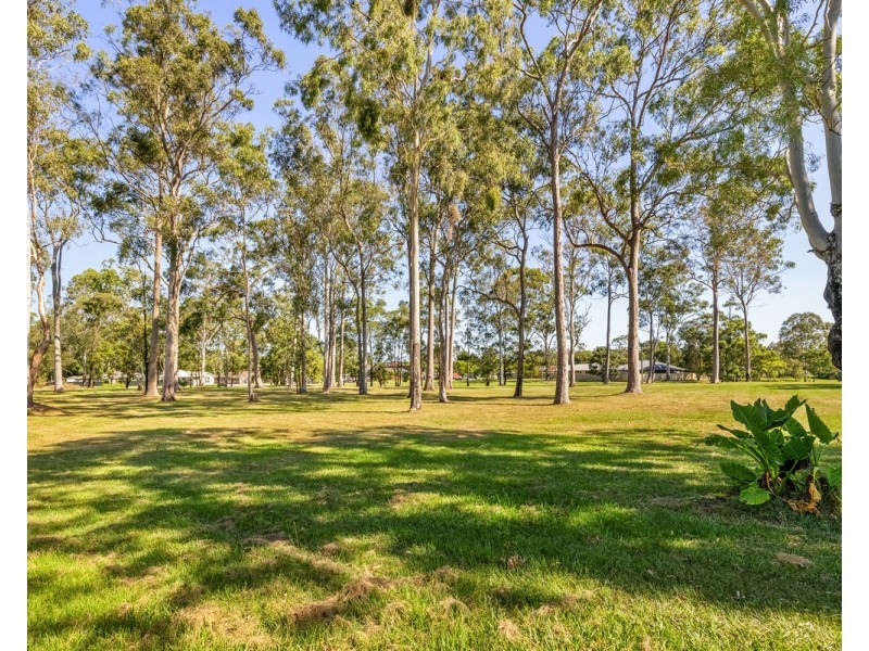 49 Constellation Drive, Loganholme QLD 4129