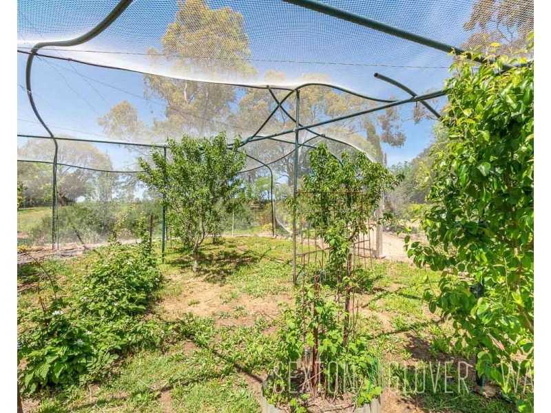 71 Bollen Road, Mount Barker SA 5251
