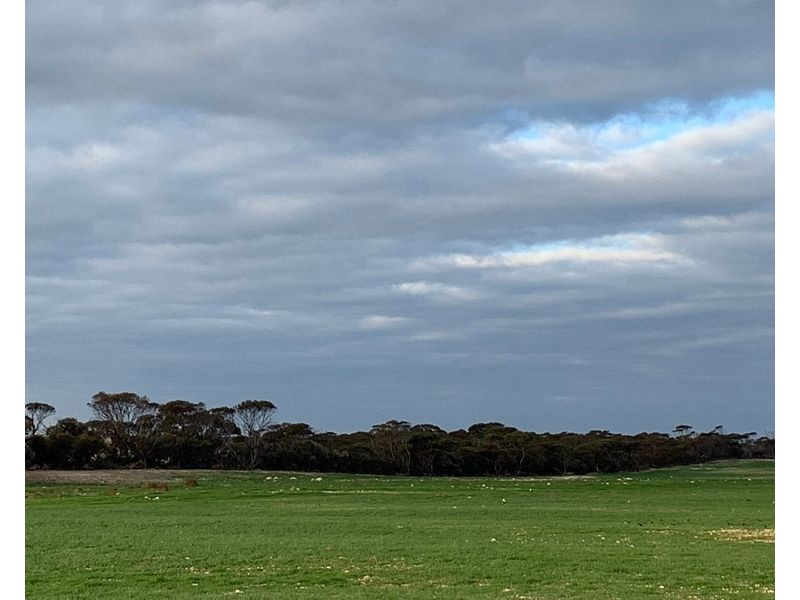 Lot 20 Chaunceys Line Road, Brinkley SA 5253