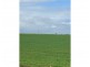 Lot 20 Chaunceys Line Road, Brinkley SA 5253