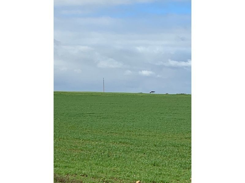 Lot 20 Chaunceys Line Road, Brinkley SA 5253