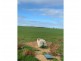 Lot 20 Chaunceys Line Road, Brinkley SA 5253
