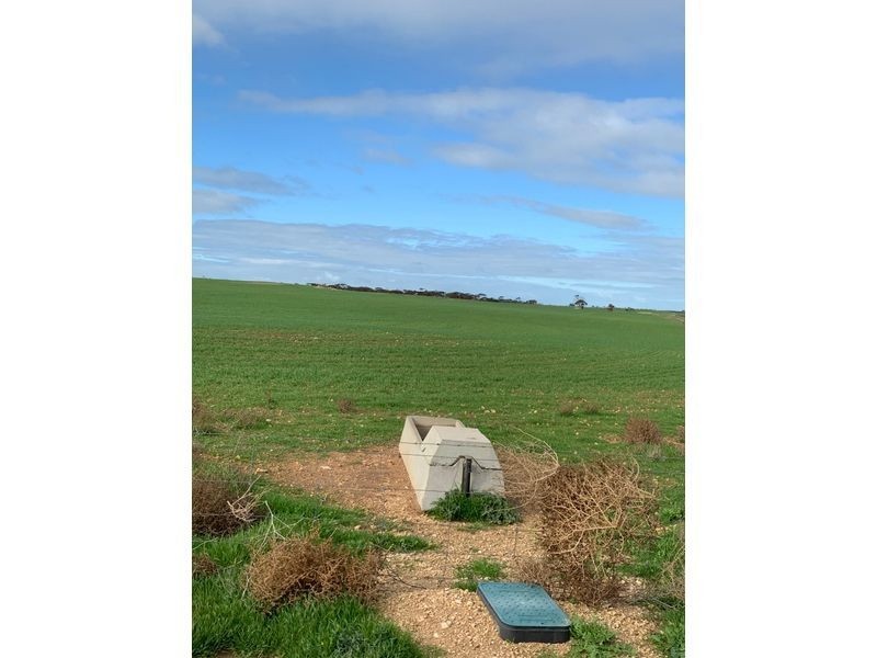 Lot 20 Chaunceys Line Road, Brinkley SA 5253