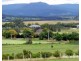 84b Coolangatta Road, Coolangatta NSW 2535