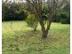 106B Shoalhaven Heads Road, Shoalhaven Heads NSW 2535
