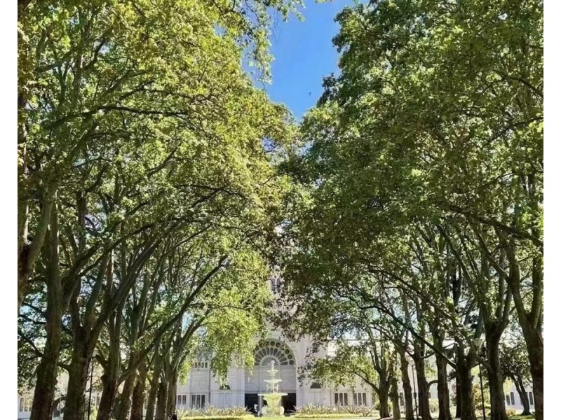 141 LA TROBE STREET, Melbourne VIC 3000