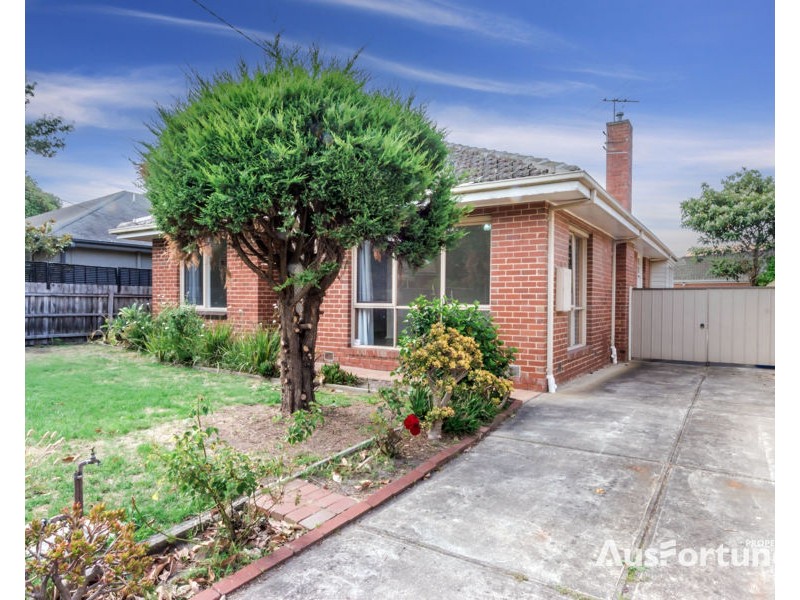 3 Thorburn Street, Hampton VIC 3188