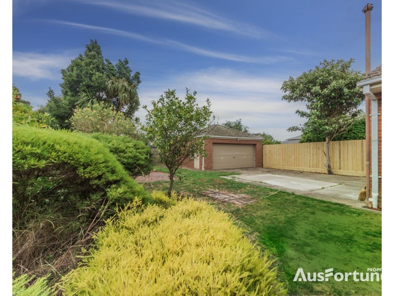 3 Thorburn Street, Hampton VIC 3188