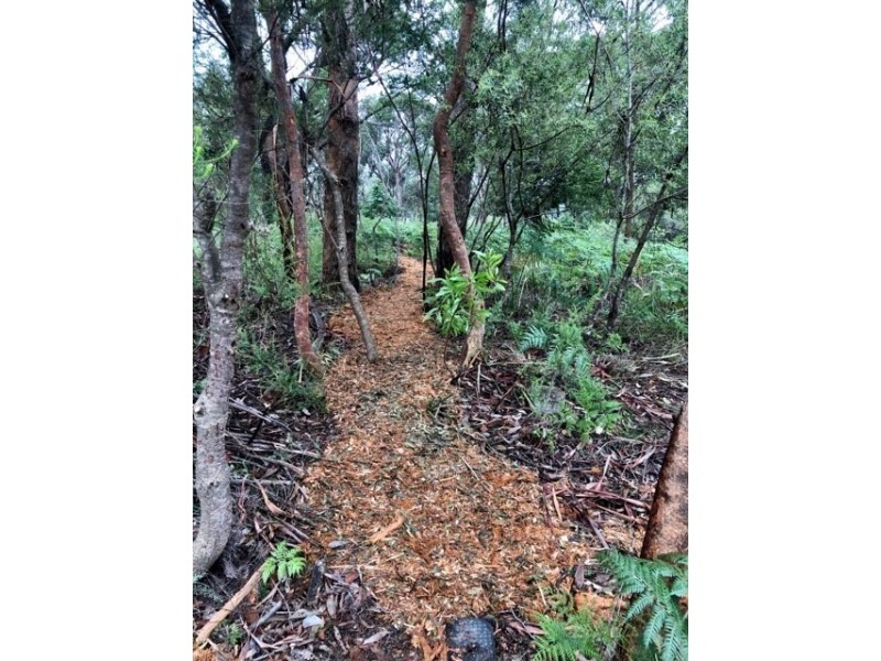 32 Hazel Avenue, Hazelbrook NSW 2779