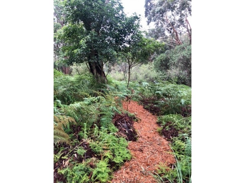 32 Hazel Avenue, Hazelbrook NSW 2779