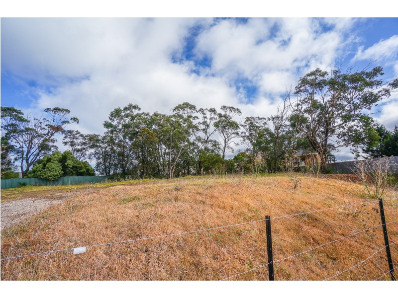 40 Great Western Highway, Wentworth Falls NSW 2782