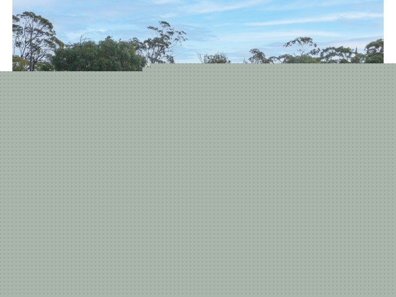 45 North Ansons Road, Ansons Bay TAS 7216