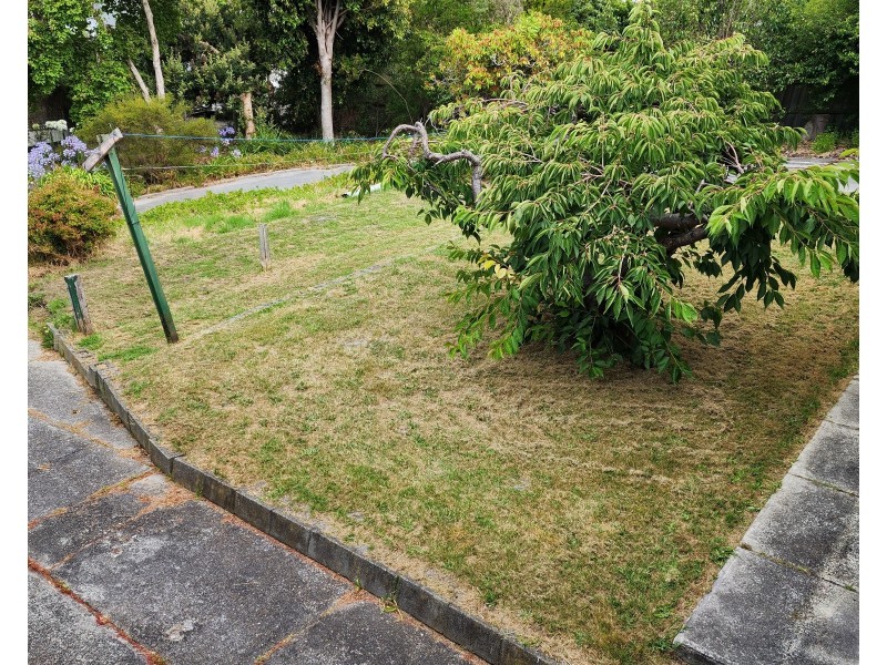 76 Westwood Street, Bridport TAS 7262