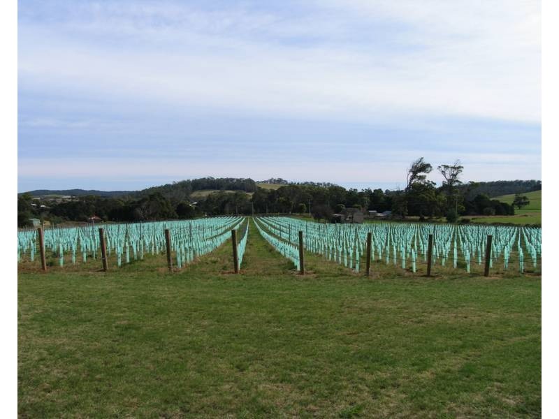 1079 Pipers Brook Road, Pipers Brook TAS 7254