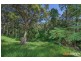 43 Scenic Drive, Caves Beach NSW 2281