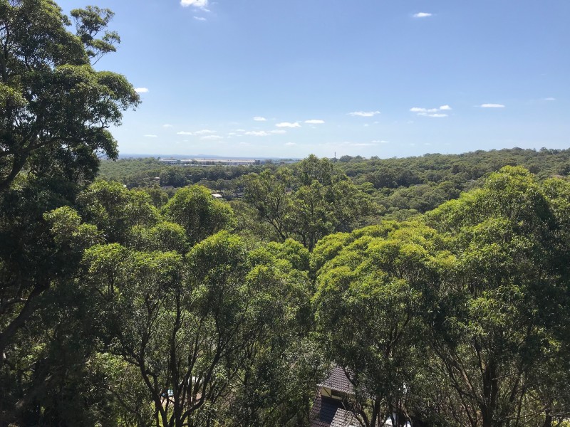 98 Grandview Road, New Lambton Heights NSW 2305