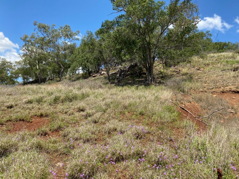 12 Mountain View Drive, Oakey QLD 4401