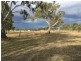Lot 34 Voll Avenue, Oakey QLD 4401
