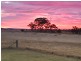 7 Nungil Street, Jondaryan QLD 4403