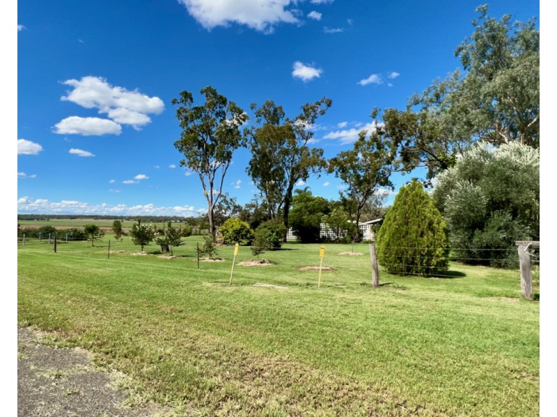 Linthorpe QLD 4356
