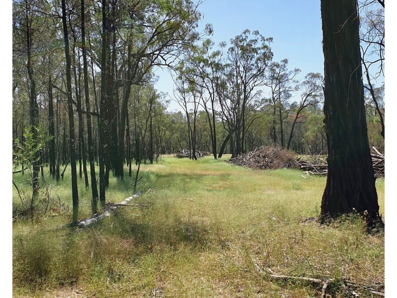 311 Fortune Drive, Tara QLD 4421