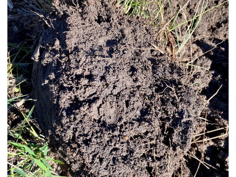 311 Fortune Drive, Tara QLD 4421