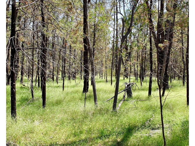 311 Fortune Drive, Tara QLD 4421