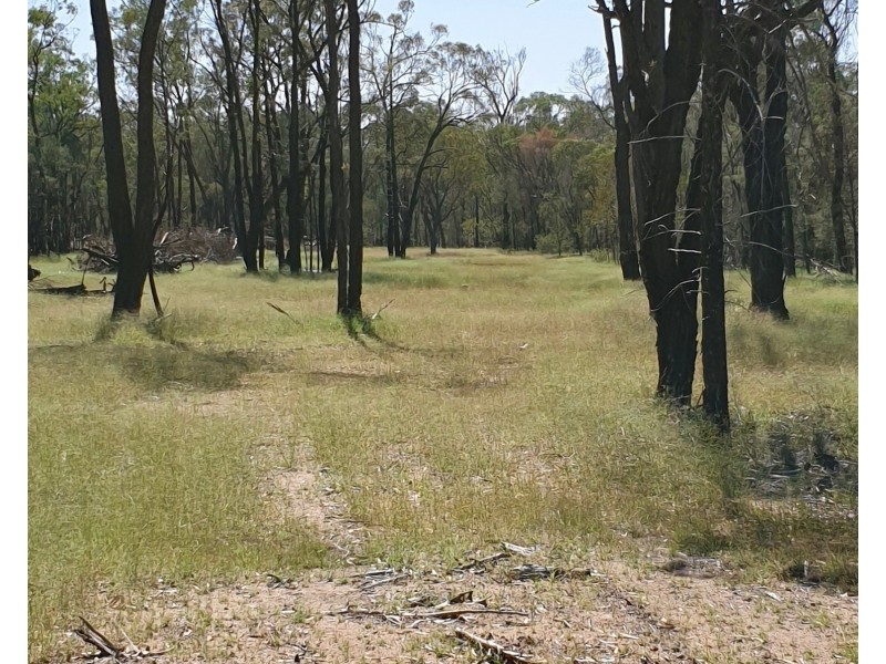 311 Fortune Drive, Tara QLD 4421