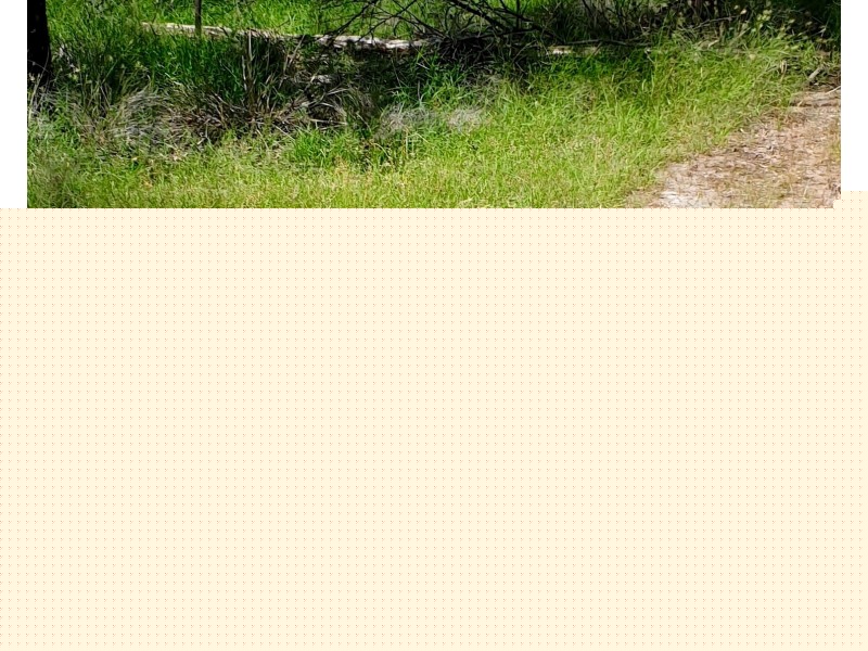 311 Fortune Drive, Tara QLD 4421