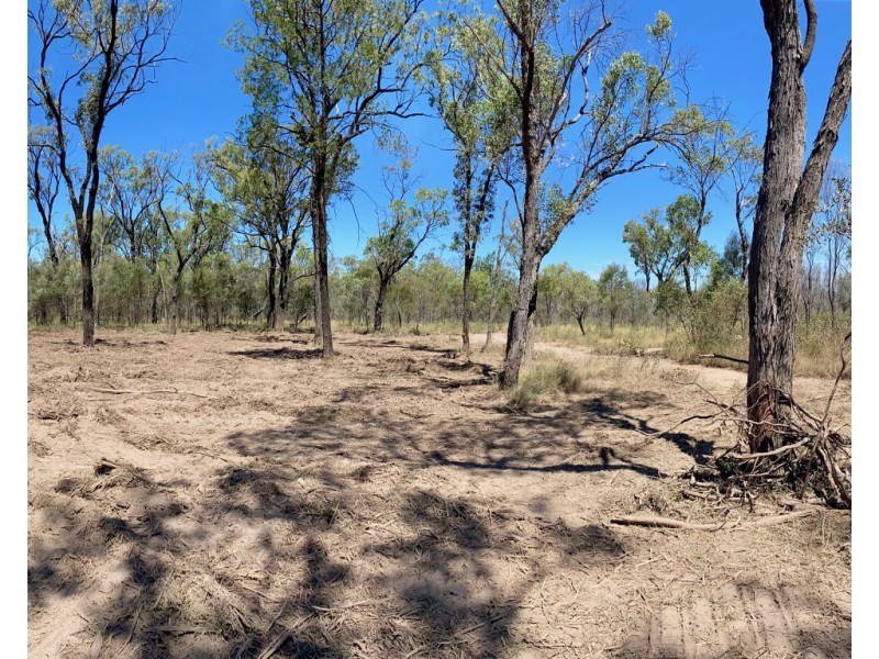 311 Fortune Drive, Tara QLD 4421