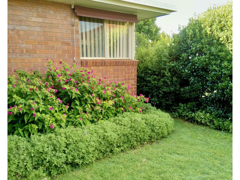 30 Blackdown Street, Harristown QLD 4350