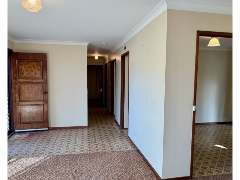 50 Proposch Street, Oakey QLD 4401